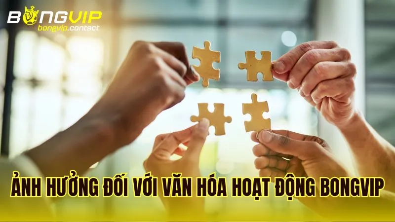 Ảnh hưởng của CEO Alex Phạm đối với văn hóa làm việc tại Bongvip