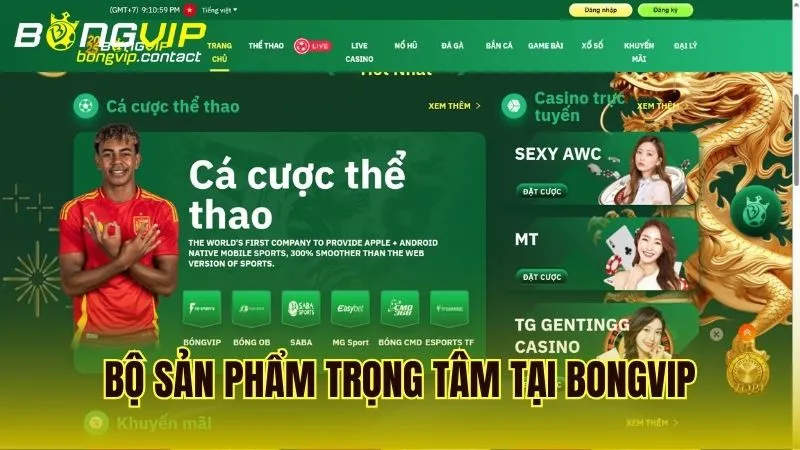 Danh sách các sản phẩm và dịch vụ cốt lõi đang được cung cấp tại Bongvip