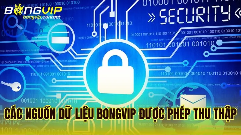 Các nguồn dữ liệu Bongvip thu thập