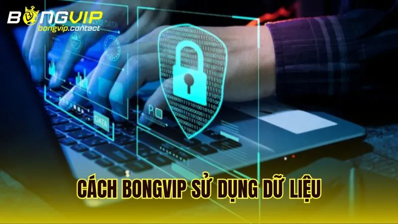 Phương thức Bongvip sử dụng dữ liệu theo quy tắc Quyền Riêng Tư