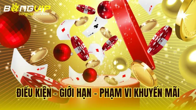 Giới hạn, điều kiện và phạm vi khi tham gia các chương trình khuyến mãi Bongvip