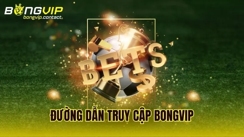 Liên kết truy cập Bongvip chính thức