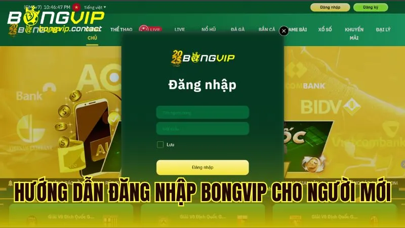 Hướng dẫn chi tiết các bước đăng nhập Bongvip dành cho người dùng mới