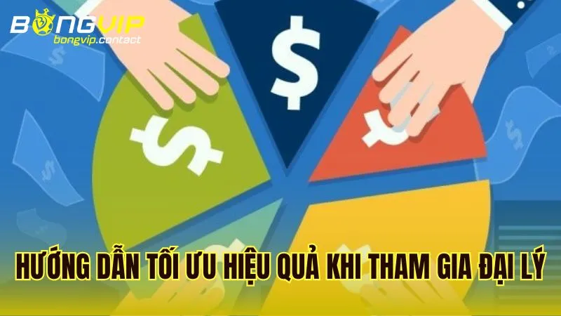 Hướng dẫn giúp tham gia chương trình đại lý Bongvip đạt hiệu quả cao