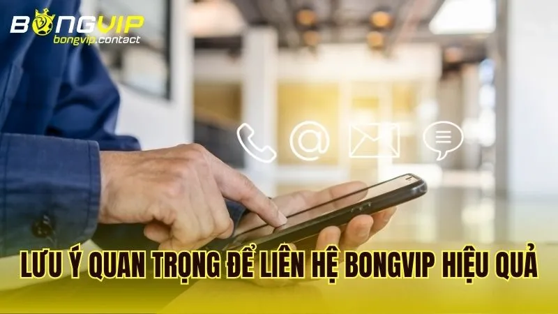 Giới thiệu về hệ thống liên hệ Bongvip và vai trò đối với người chơi