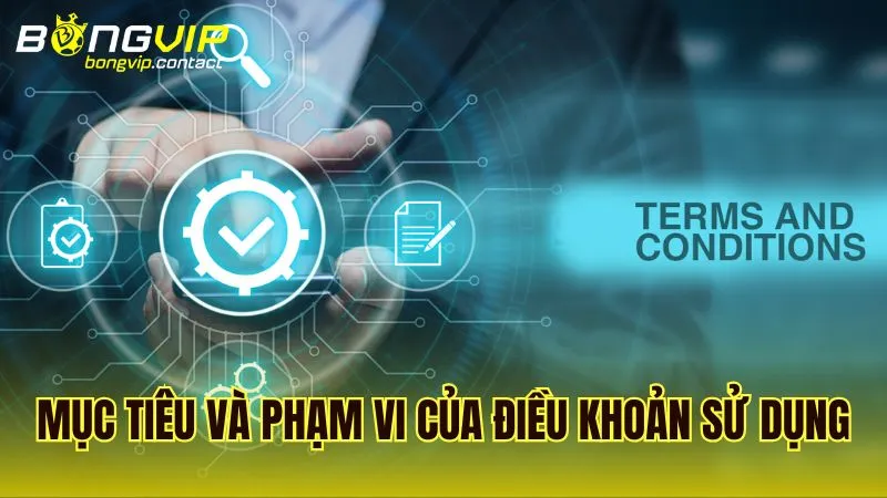 Mục đích và phạm vi áp dụng của quy định sử dụng tại Bongvip