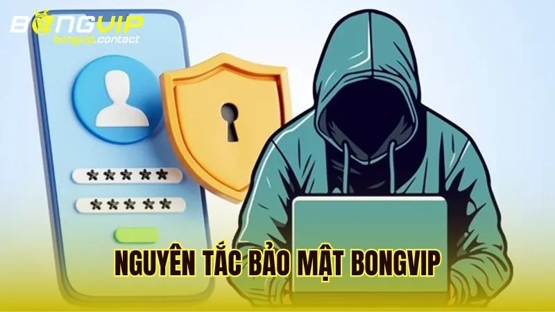 Những nguyên tắc bảo mật Bongvip áp dụng