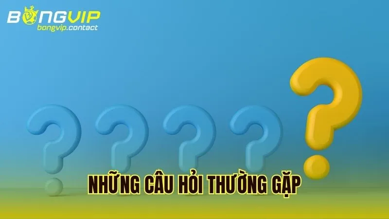 Giải đáp các thắc mắc phổ biến nhất liên quan đến Bongvip