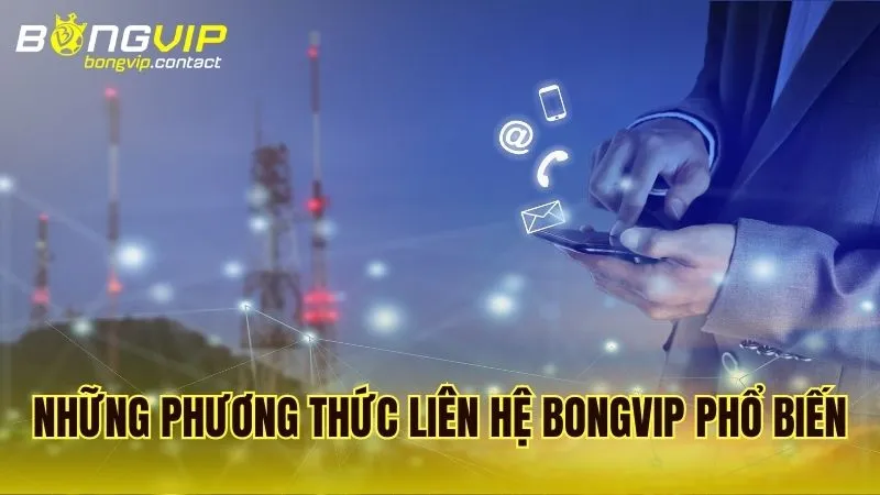 Các kênh liên lạc phổ biến và cách sử dụng chúng để đạt hiệu quả cao nhất