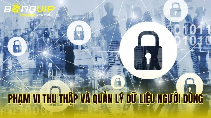 Phạm vi dữ liệu người dùng được Bongvip thu thập và quản lý