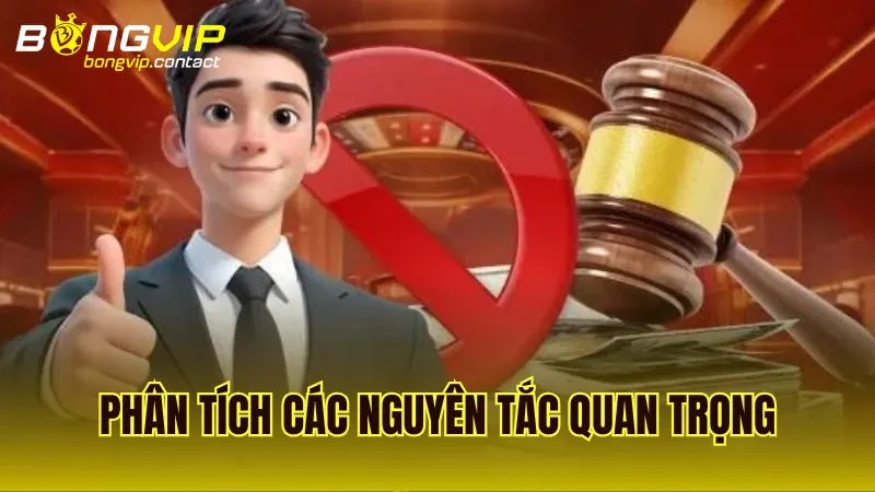 Phân tích ba nguyên tắc chính của chính sách Miễn Trừ Trách Nhiệm