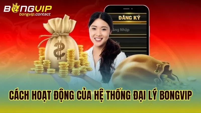 Phân tích cách thức hoạt động của hệ thống đại lý Bongvip