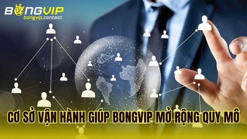 Phân tích nền tảng vận hành làm cơ sở cho việc mở rộng quy mô của Bongvip