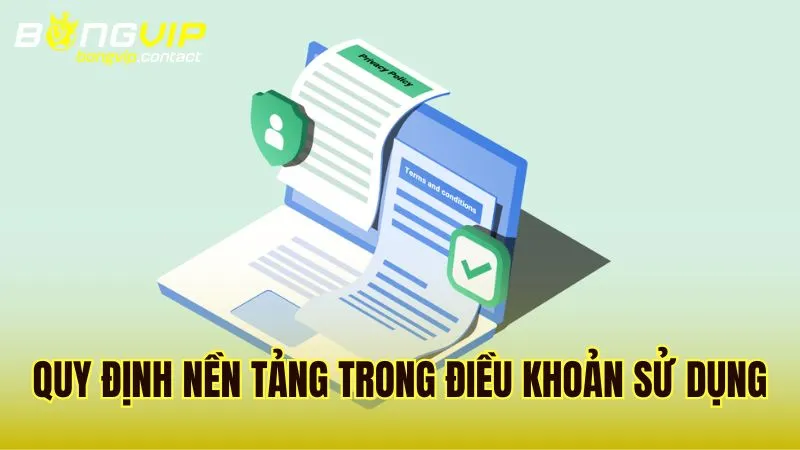 Các quy tắc cơ bản trong hệ thống điều khoản sử dụng