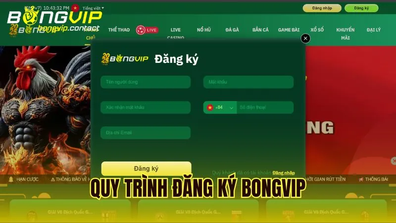Hướng dẫn chi tiết từng bước trong quy trình đăng ký Bongvip