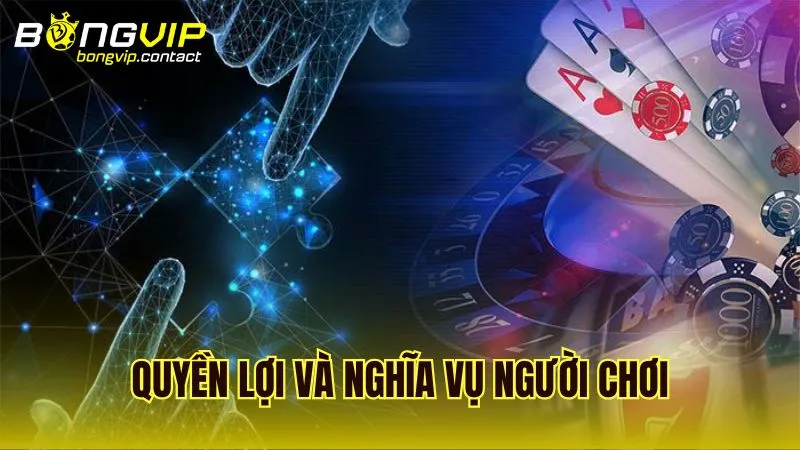 Quyền lợi và trách nhiệm của người chơi theo điều khoản sử dụng