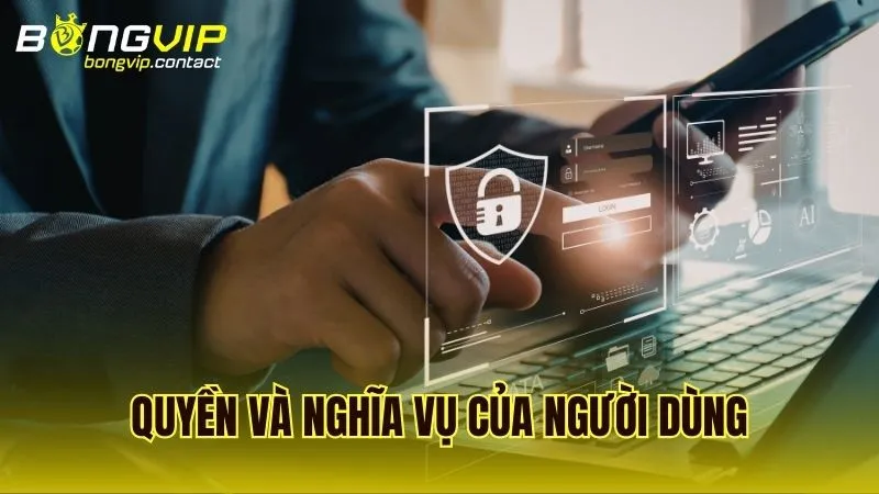 Nghĩa vụ của Bongvip đối với việc bảo vệ dữ liệu theo chính sách đã ban hành
