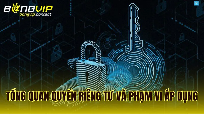 Quyền Riêng Tư và phạm vi áp dụng tại Bongvip