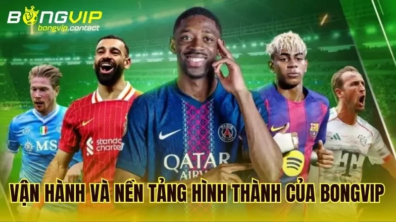 Thông tin chung về sự hình thành và cách thức vận hành của Bongvip