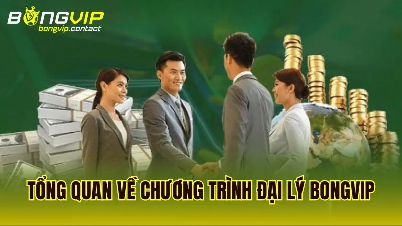 Tổng quan về cơ cấu chương trình đại lý Bongvip