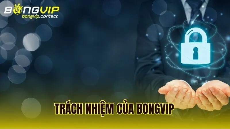 Các quyền lợi và trách nhiệm của người dùng theo quy định bảo mật Bongvip