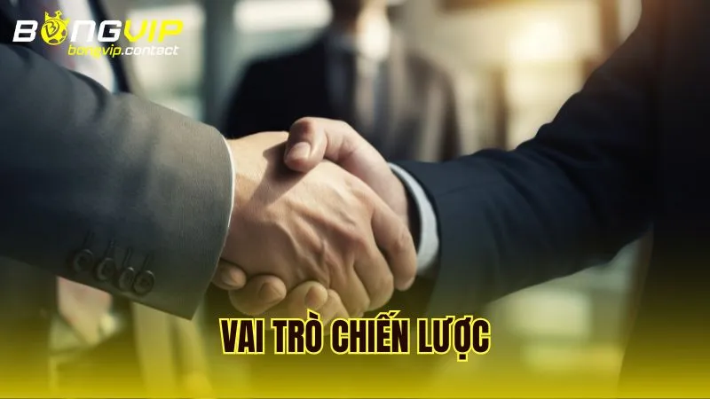Tầm quan trọng chiến lược của CEO Alex Phạm trong việc phát triển sản phẩm Bongvip