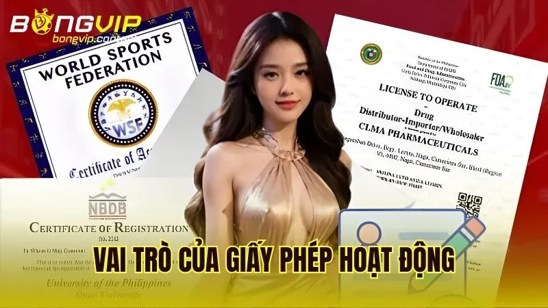 Tầm quan trọng của giấy phép đối với hoạt động và sự ổn định của Bongvip
