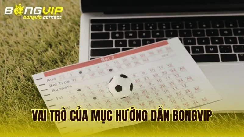 Chia sẻ kinh nghiệm quản lý tài khoản và cách nâng cao hiệu quả cá cược